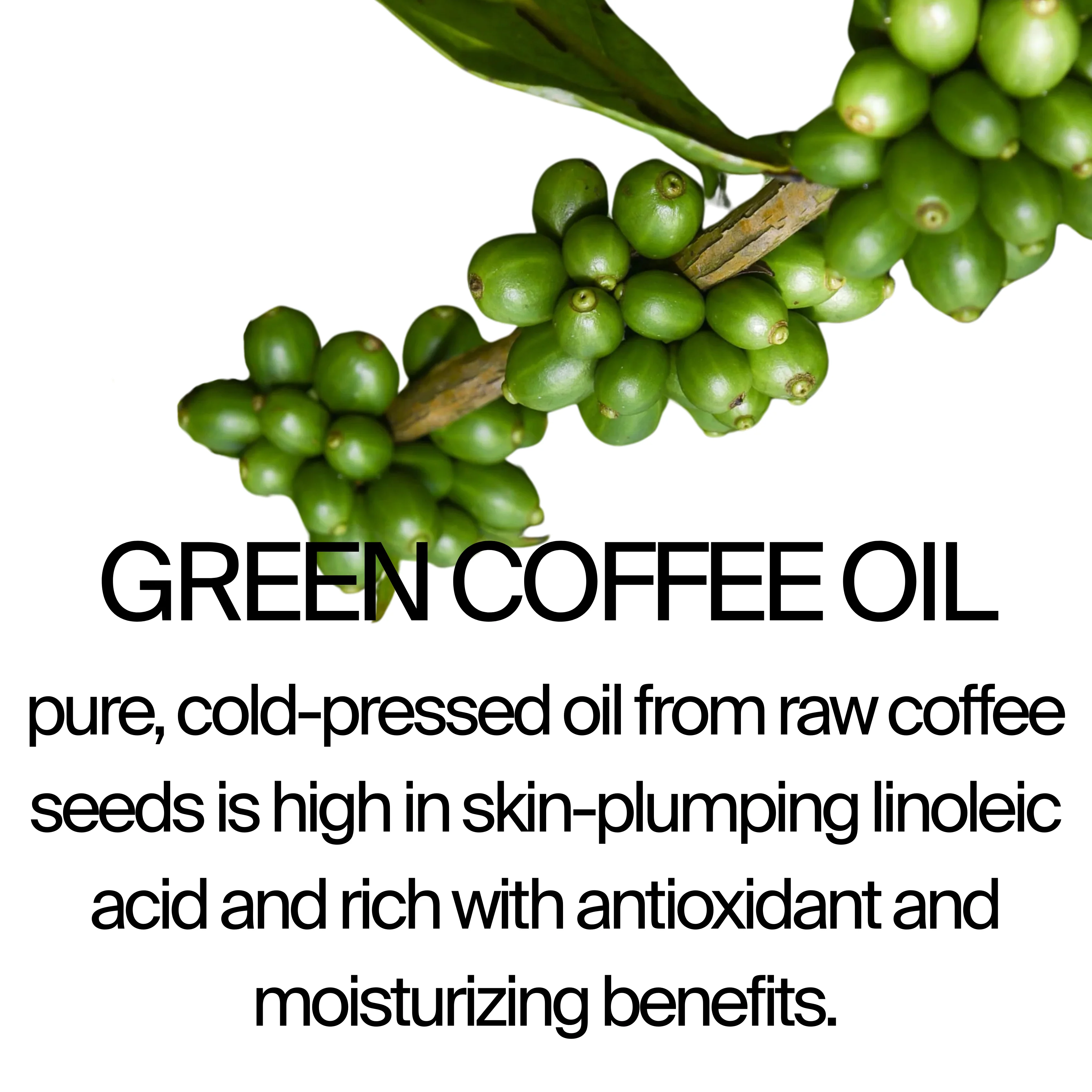 BODY SCRUB - Image 3